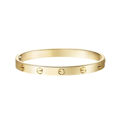[AM]CLASSIC 6.1MM LOVE SINGLE-SCREW CLOSURE BANGLE